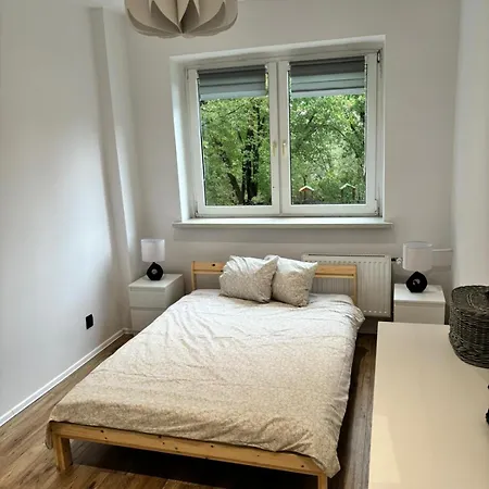 דירה Bedzinska *