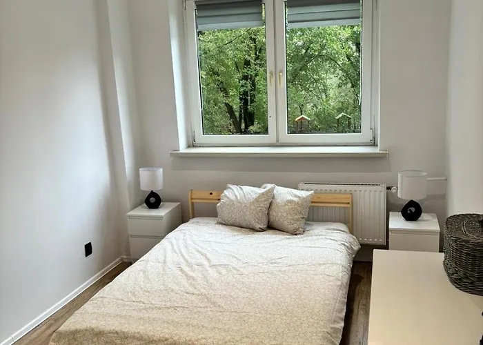 דירה Bedzinska *